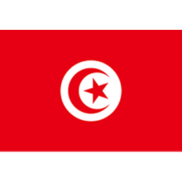 突尼斯U17